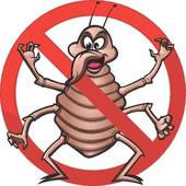 Stop Bed Bugs